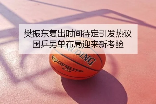 樊振东复出时间待定引发热议 国乒男单布局迎来新考验
